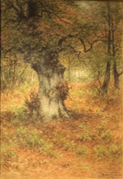 Frederick Verner Unframed Final