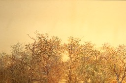 Otto Jacobi Close Up 4